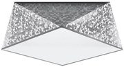 Stropné svietidlo HEXA 2xE27/60W/230V strieborná