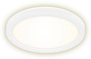 Briloner 7150-416 - LED Stropné svietidlo SLIM LED/12W/230V pr. 19 cm
