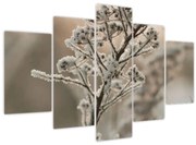 Obraz - Rastlina v mraze (150x105 cm)