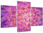 Detailný obraz kvetu (90x60 cm)