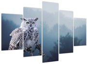 Obraz - Sova snežná (150x105 cm)