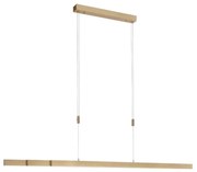 Paul Neuhaus 2568-60 - LED Stmievateľný luster na lanku ADRIANA LED/14W/230V mosadz