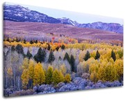 Obraz na stenu KRAJINA | rôzne rozmery