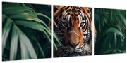 Obraz - Portrét tigra v džungli (s hodinami) (90x30 cm)