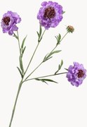 Rastlinné dekorácie Scabiosa, 2 ks