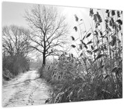 Obraz - Pole v zime (70x50 cm)