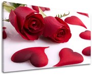 Obraz na stenu KVETY | rôzne rozmery