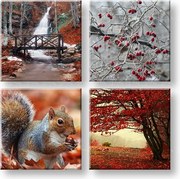 Obraz na stenu Beauty of Autumn 4 dielny XOBKOL11E42