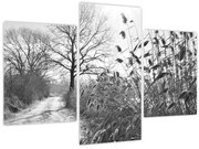 Obraz - Pole v zime (90x60 cm)