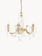 Luster Marie Therese