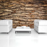 Fototapeta - Kôra stromu (254x184 cm)