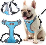 Beztlakový postroj pre psa ASTRO - modrý - rozmer M