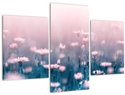 Obraz lesných rastlín (90x60 cm)