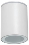 Kanlux 33360 - Vonkajšie bodové svietidlo AQILO 1xGU10/7W/230V IP65 biela KX0434