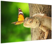 Obraz - Jašter (90x60 cm)