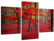 Obraz - Červený les (90x60 cm)