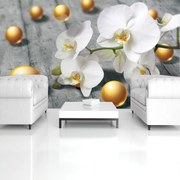 Fototapeta - Orchidea (254x184 cm)