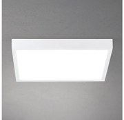 Orion - LED stmievateľné stropné svietidlo DISC LED/30W/230V 2700/3000/4000K 39x39 cm biela