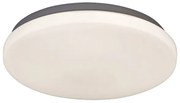 Rabalux 2284 - LED stropné svietidlo ROB LED/20W/230V okrúhle