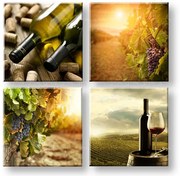 Obraz na stenu Meeting in the vineyard | rôzne rozmery