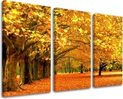 Obraz na stenu 3 dielny STROMY ST010E30