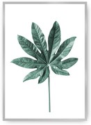 Plagát Leaf Emerald Green