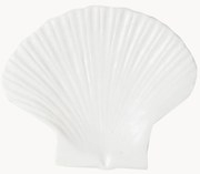 Dezertný tanier z dolomitu Shell