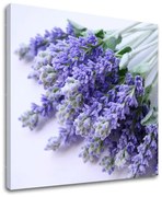 Obraz na stenu KVETY | rôzne rozmery