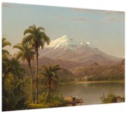 Obraz - Frederic Edwin Church, Tamaca Palms, reprodukcia (70x50 cm)