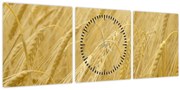 Obraz - Jačmeň (s hodinami) (90x30 cm)