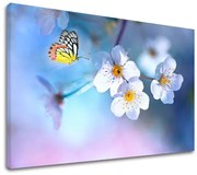 Obraz na stenu STROMY_035-11 | rôzne rozmery