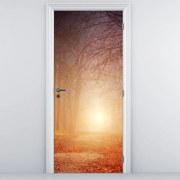 Fototapeta na dvere - Jesenný les v hmle (95x205cm)