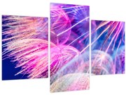 Obraz - Makro (90x60 cm)