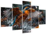 Obraz - Včelojedi (150x105 cm)