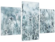 Obraz - Kúzlo zimy (90x60 cm)