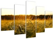 Obraz orosenej trávy (150x105 cm)