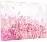Obraz - Rozkvet (70x50 cm)