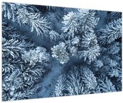 Obraz - Zasnežený les (90x60 cm)