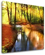 Obraz na stenu STROMY | rôzne rozmery