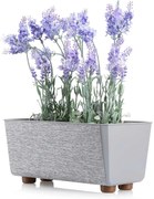 PLASTOVÝ KVETINÁČ SALVIA TX 28,5X17 CM SIVÁ