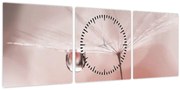 Obraz - Kvapka rosy (s hodinami) (90x30 cm)
