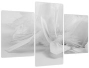 Obraz - Perie (90x60 cm)