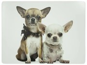 4ks pevné korkové prestieranie Čivava - 30 * 40 * 0,4 cm