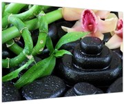 Obraz - Kamene a orchidey (90x60 cm)