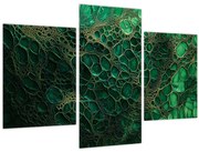 Obraz - Zelený mikroskopický záber (90x60 cm)