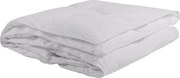 XXXLutz CELOROČNÁ PRIKRÝVKA, 220/140 cm, Sleeptex - Prikrývky & vankúše - 005868021902