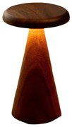 LED stolová lampa v tmavoprírodnej farbe s dreveným tienidlom (výška 21 cm) Sylva – Gingko