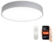 Immax Neo Immax NEO 07143-GR60 - LED Stmievateľné svietidlo RONDATE 50W/230V Tuya šedá + DO IM0859