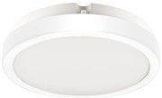 Stropné LED svietidlo Vera, 1x LED 12w, 4000k, w