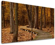 Obraz na stenu STROMY | rôzne rozmery